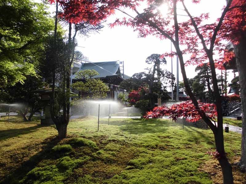 稲荷山 光明院　紅葉とスプリンクラー