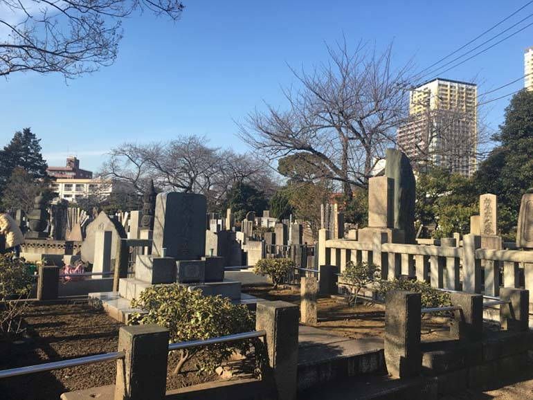 都立 谷中霊園　日当たり良好