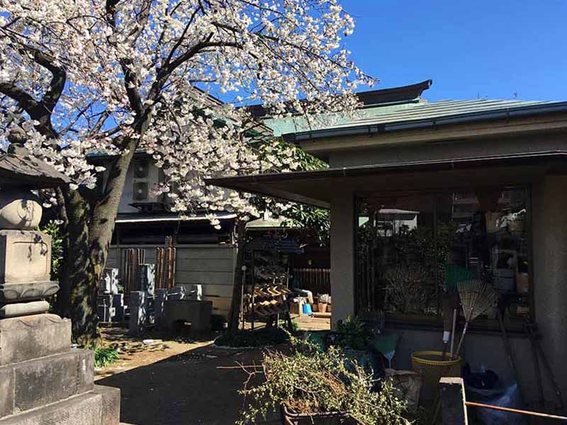 薬王山延寿院 善養寺