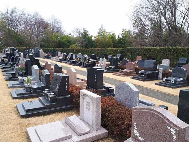 エクセレント八王子聖地　日当たりの良い園内