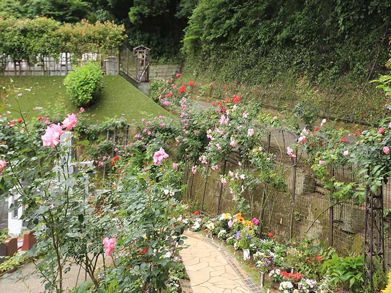 鎌倉やすらぎの杜　色とりどりの花々が楽しめる園内風景
