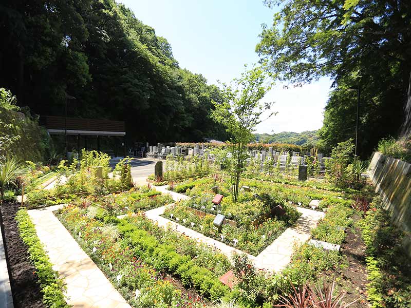 鎌倉やすらぎの杜　緑豊かな園内風景