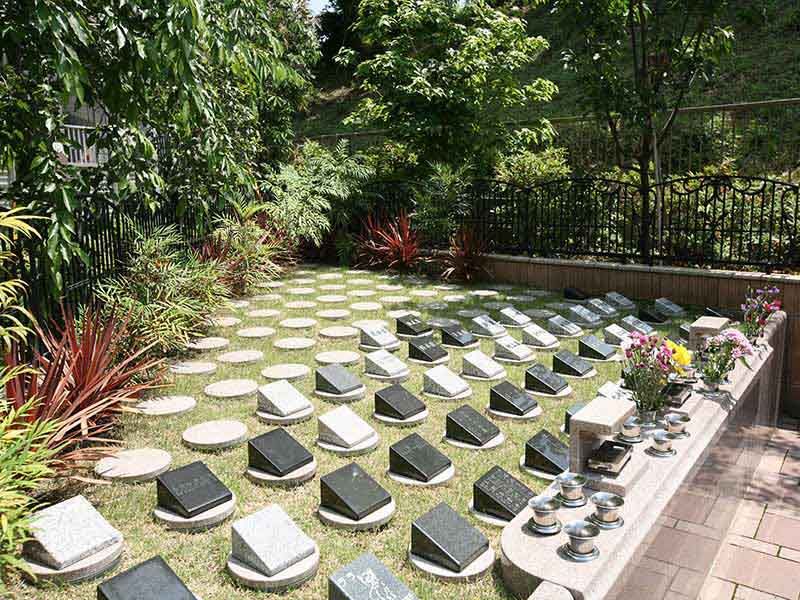 川口 永久の絆　永代供養付樹木葬「桜花」