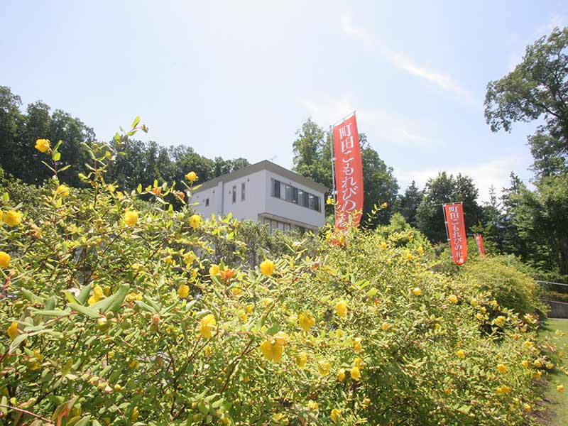 町田こもれびの杜霊苑　日当たりが良く緑豊かな霊園風景①