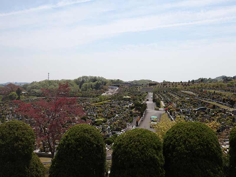 東京霊園　広大な敷地の園内風景③