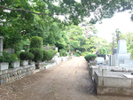 都立 多磨霊園 木々が多く明るい緑地霊園