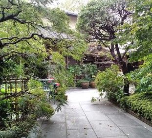 雲光院の境内参道