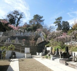 宝善院の墓所景観