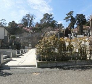 宝善院の墓所景観