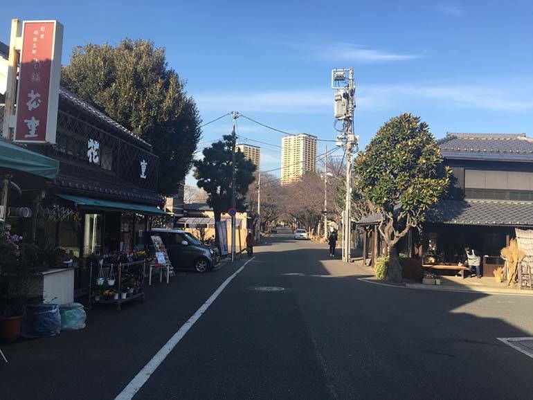 都立 谷中霊園　霊園内道路