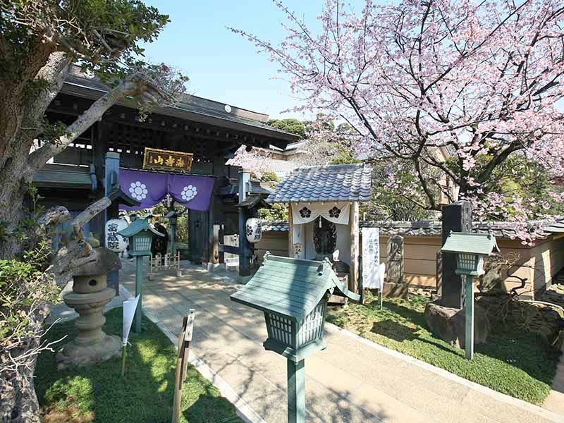 密蔵院の山門前