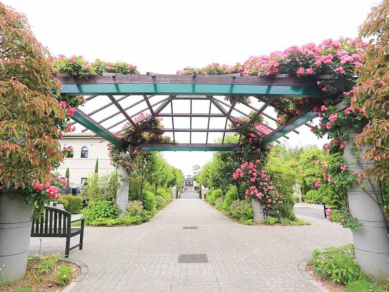 海老名フォーシーズンメモリアル　花と緑が美しい休憩スペース