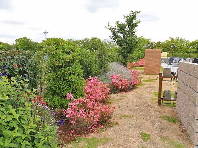 彩光浄苑　苑を包む木や草花