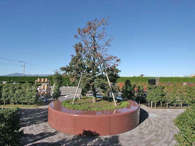 座間霊園 天空の郷　園内にそびえるシンボルツリー