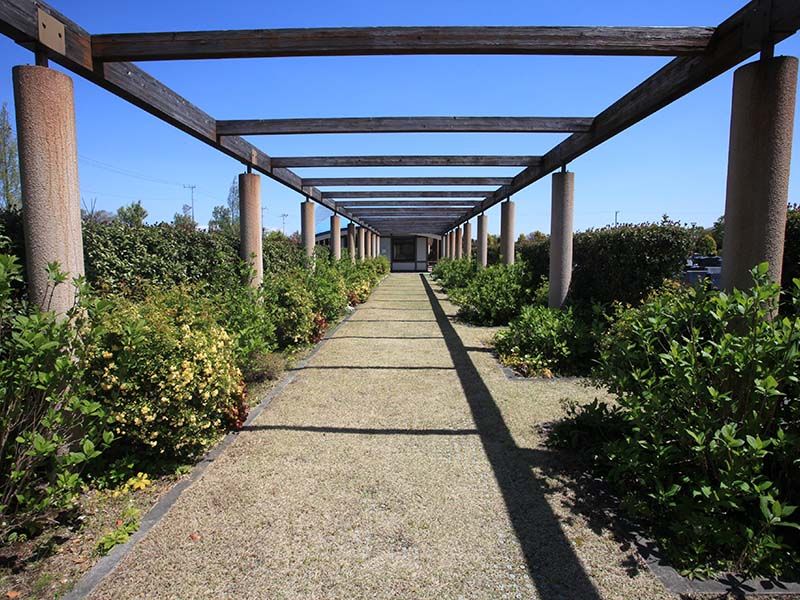 さいたまメモリアルパーク　バーゴラが続く参道