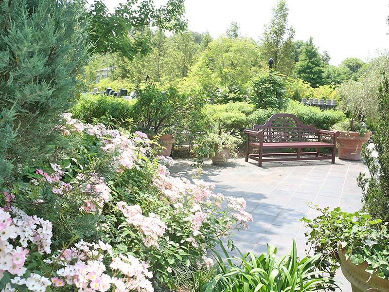 彩の国フォーシーズンメモリアル　自然豊かな環境にあるベンチ