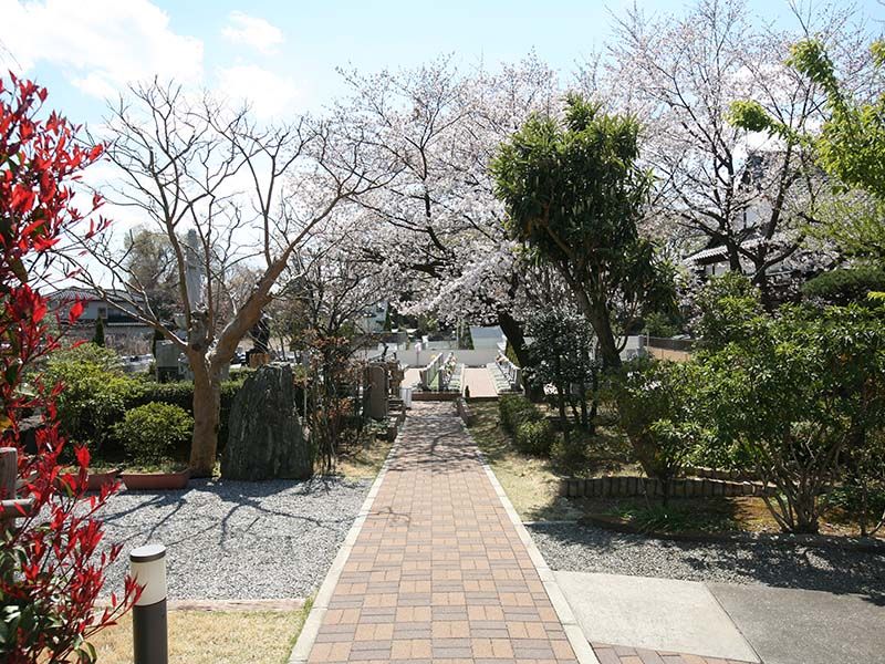 染谷の里 大宮四季彩霊苑　メイン参道にある自然のアーチ