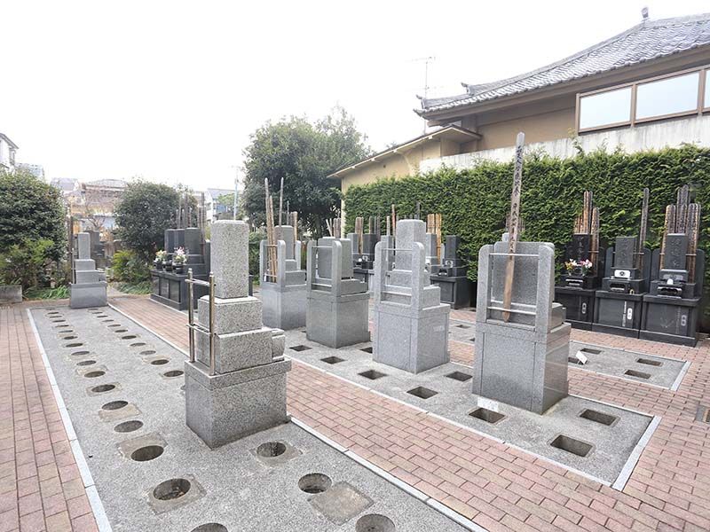 一樹山 宗柏寺