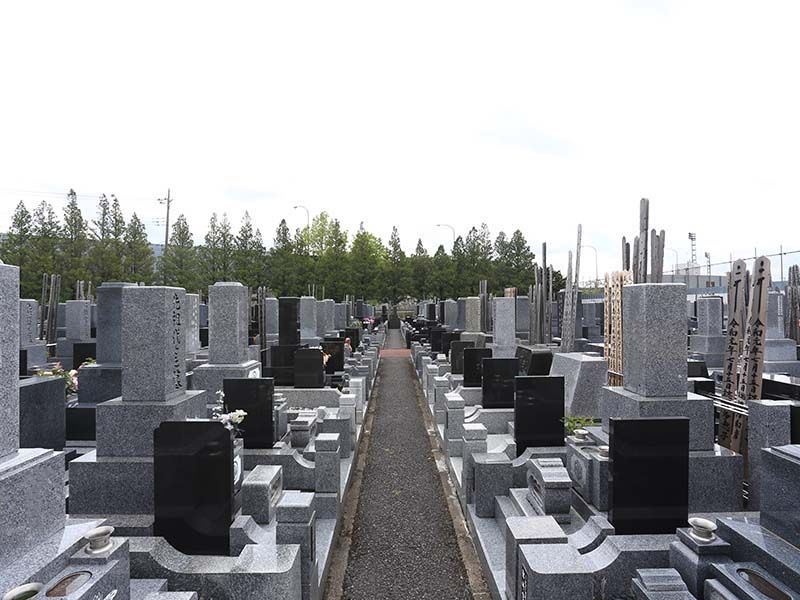 さくら聖地霊園　区画整理された墓域