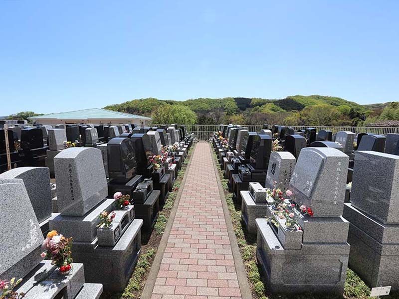 鶴巻霊園 もえぎのさと　芝区画には玉竜が植えられている