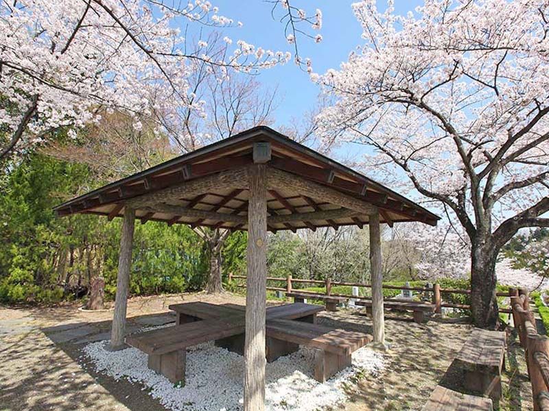 地産霊園　桜に囲まれた屋根付き休憩ベンチ