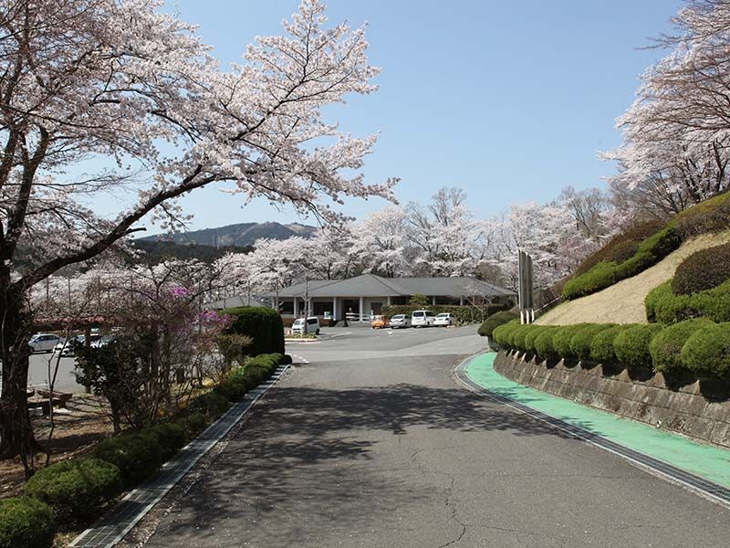 地産霊園　春には桜に囲まれる駐車場