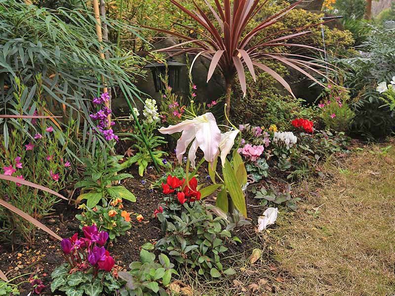 高輪墓苑 正満寺「ふれあいの碑」　四季折々の自然が楽しめる苑内