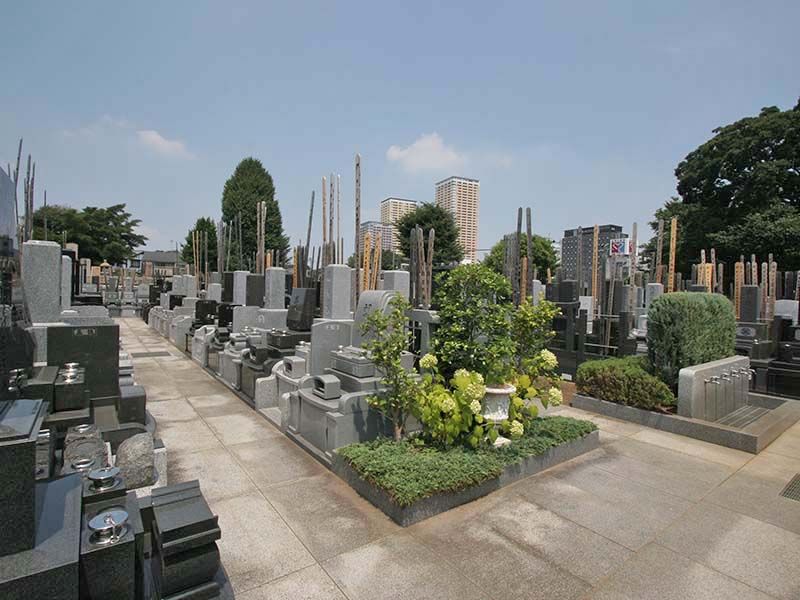 寛永寺 谷中霊園　平坦に舗装された参道