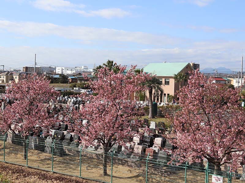 平塚四之宮霊園　花咲く木々に彩られた墓域