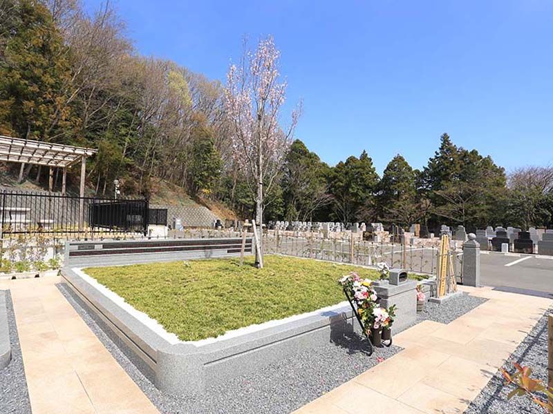 メモリアルパーク厚木ふるさとの丘　自然に帰る樹木葬