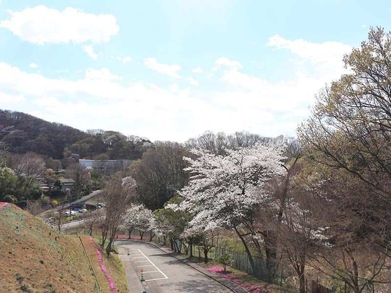 メモリアルパーク厚木ふるさとの丘　木々に囲まれた霊園