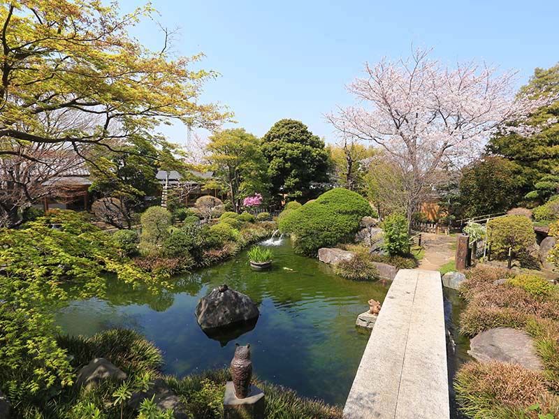 日本庭園陵墓 紅葉亭　四季折々楽しめる庭園