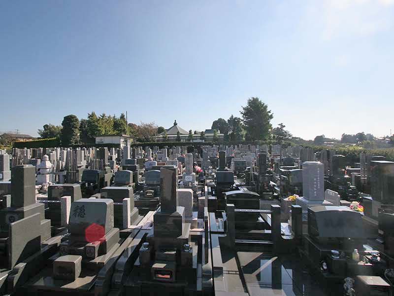 メモリアルヒルズ湘南　開放感のある景色