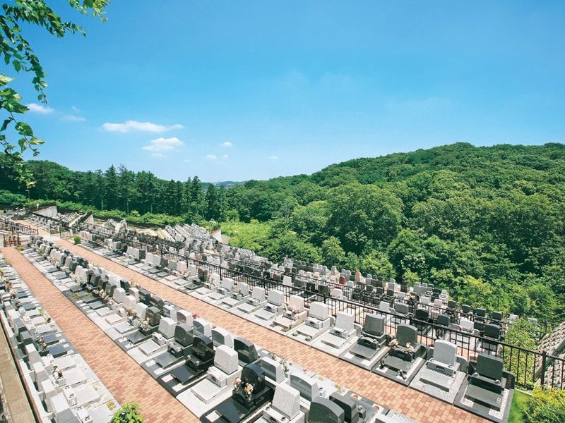 旭翠苑から見える緑豊かな山