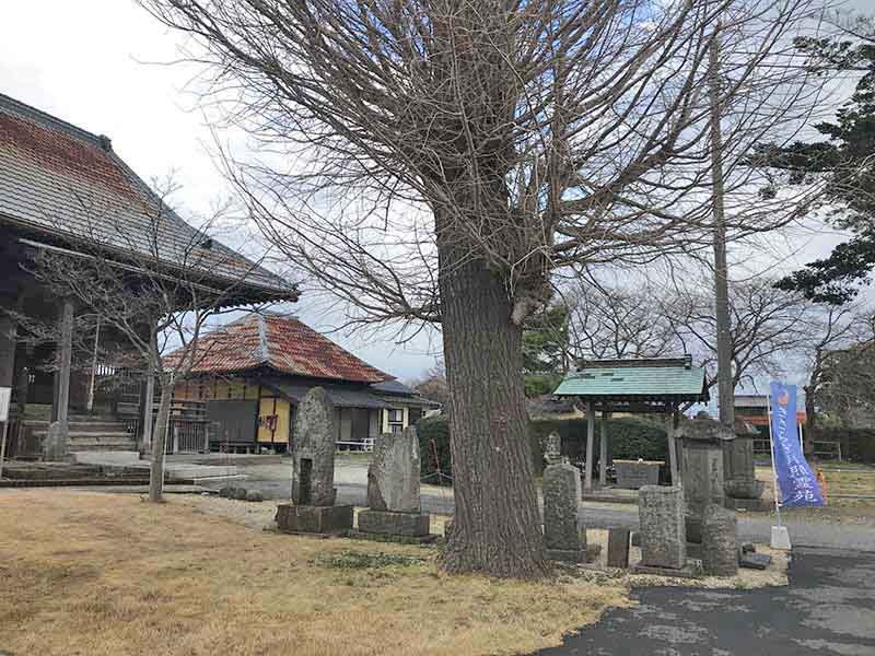 きさらぎ月照霊苑　苑内一角