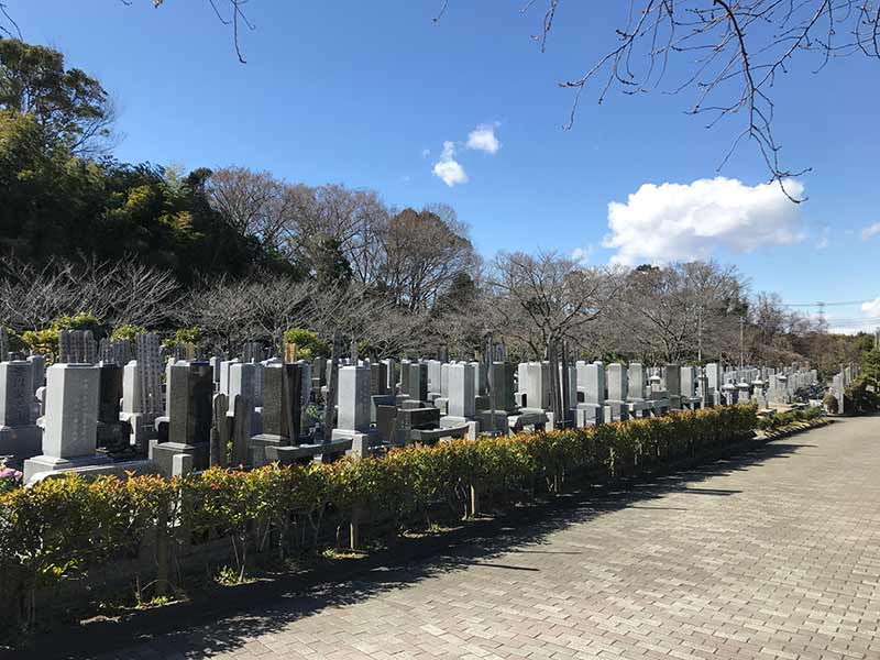 庄和苑　日当たり良好