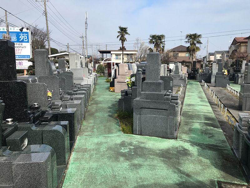 櫻墓苑　水はけのよい参道