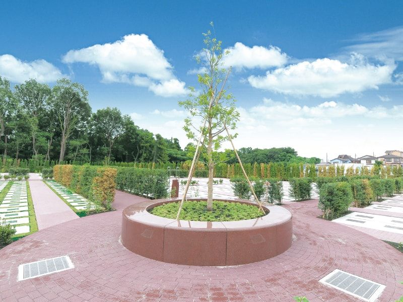 綾瀬蓼川霊園 天空の郷　霊園の真ん中にあるシンボルツリー