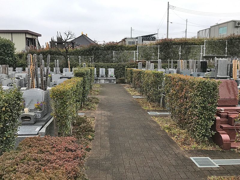 新座墓苑　平坦な参道