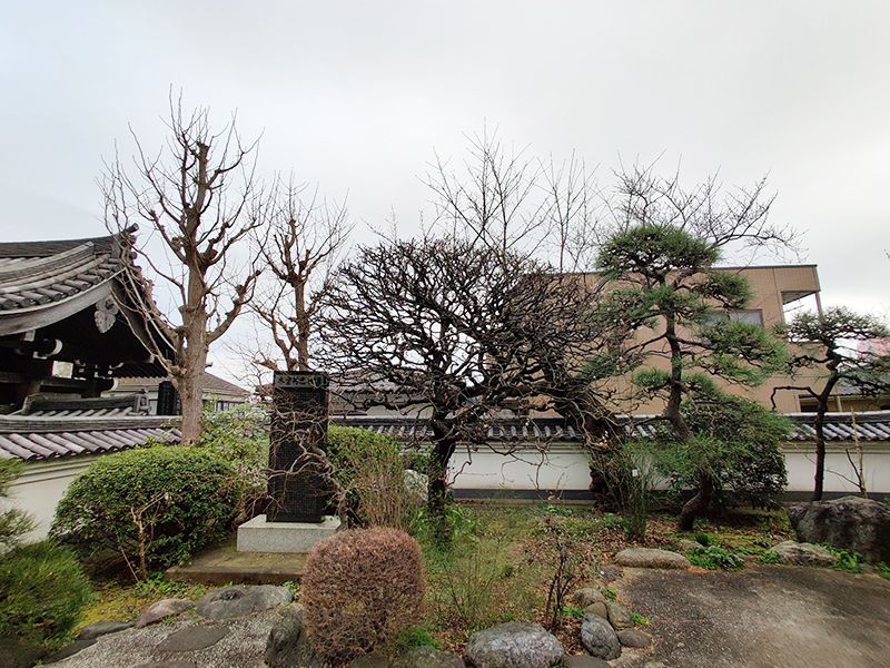 大圓寺 根岸共同墓地