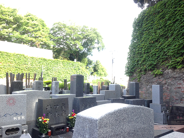 れんげ山霊園　日当たり良好