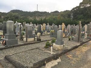 き しぼ の まつ えい