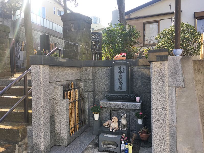 浄土宗 清光山 林泉院 安養寺