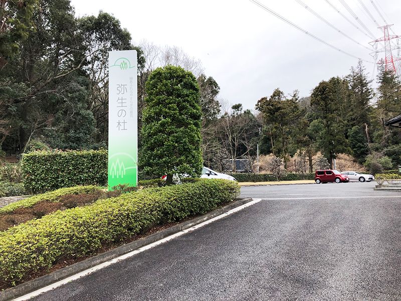 弥生の杜　木々に囲まれた駐車場