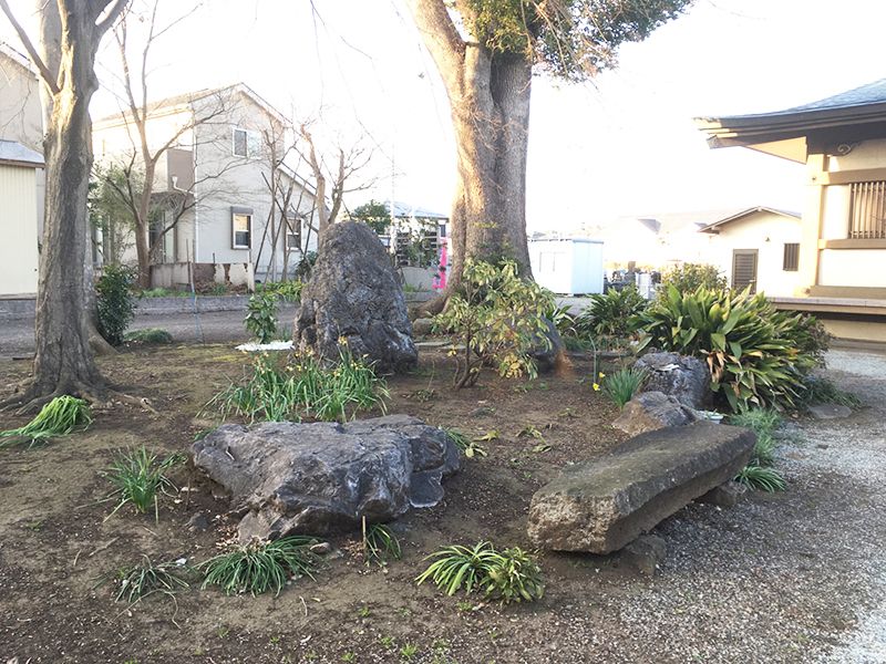 相模原フラワージュ　敷地内にある植栽