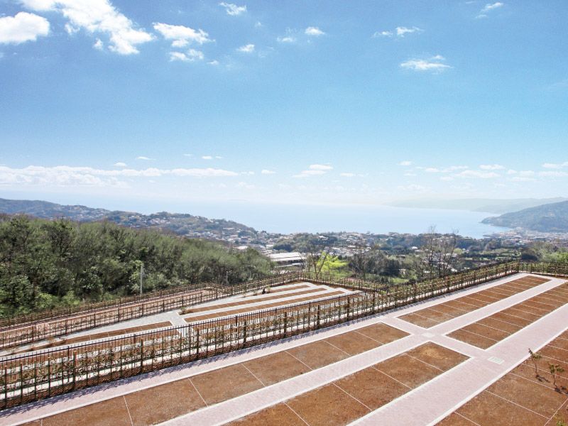 空と海 新・吉祥公園墓地　自然豊かな環境