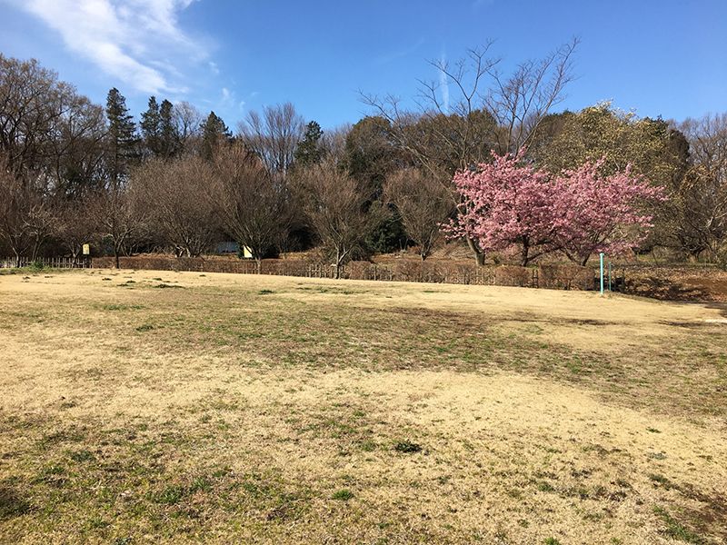 所沢欅聖地霊園　園内芝生が広がる公園
