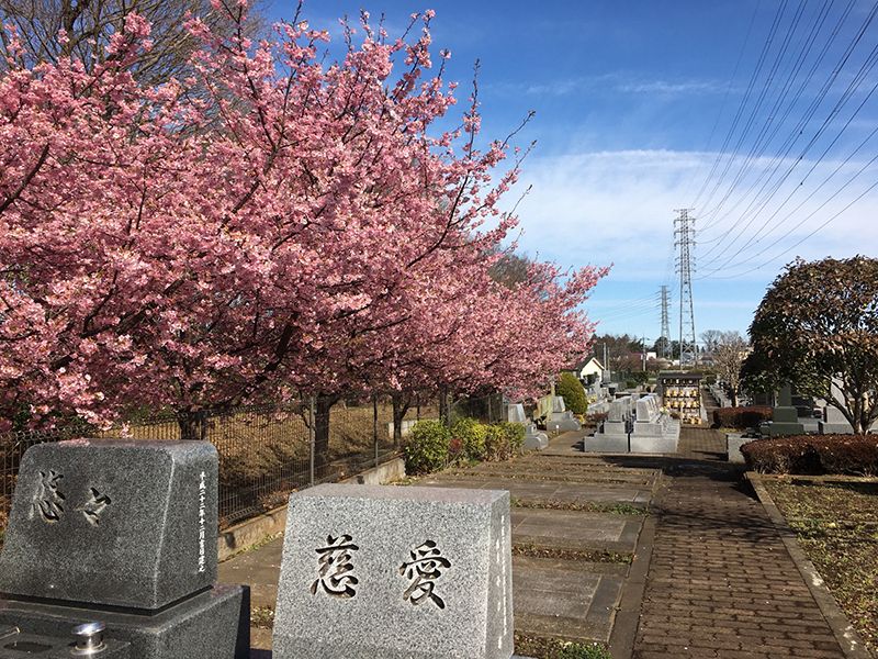 所沢欅聖地霊園　日当たりの良い墓域