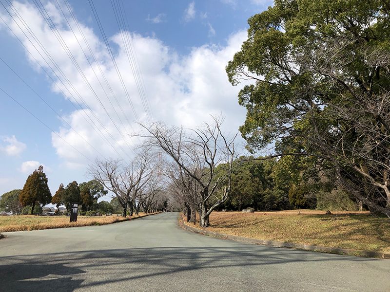 熊本市営 桃尾墓園