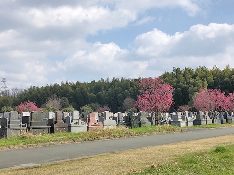 熊本市営 桃尾墓園